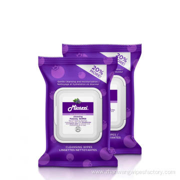 Best Private Care Makeup Remover Cleansing Wipes